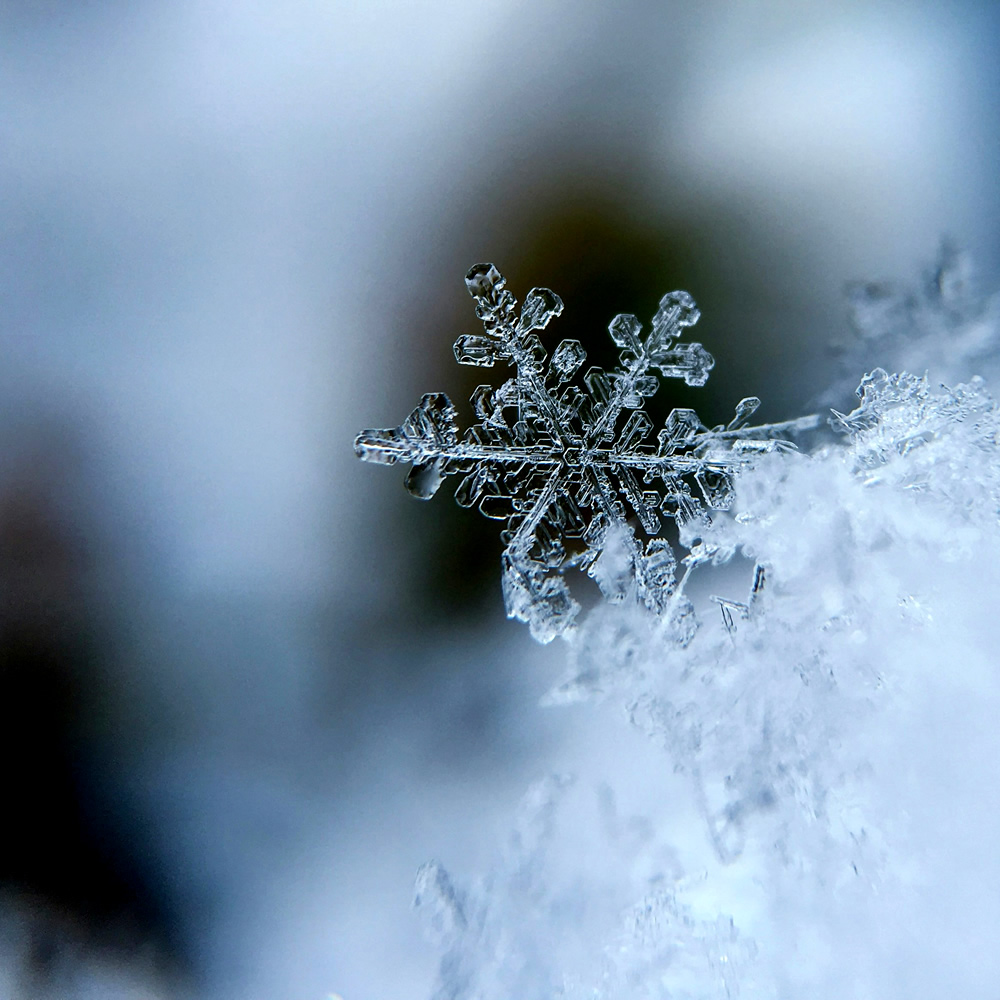 Essstörungen führen nur in eine Richtung: immer Winter